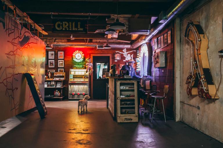 interior of a bar with a dog standing in the middle