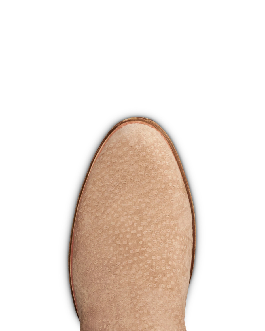 Toe view of The Earl - Sandstone Carpincho on plain background