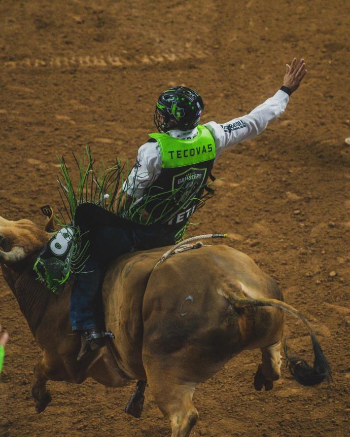 Man riding a bull