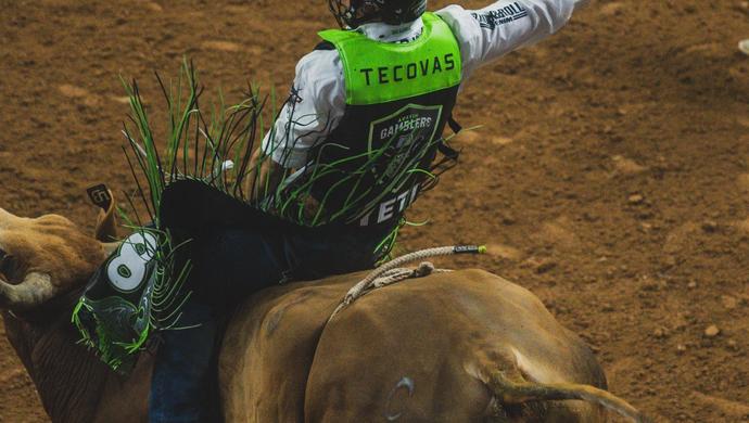 Man riding a bull