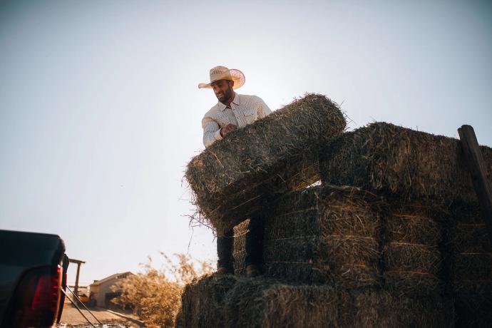 man bailing hay