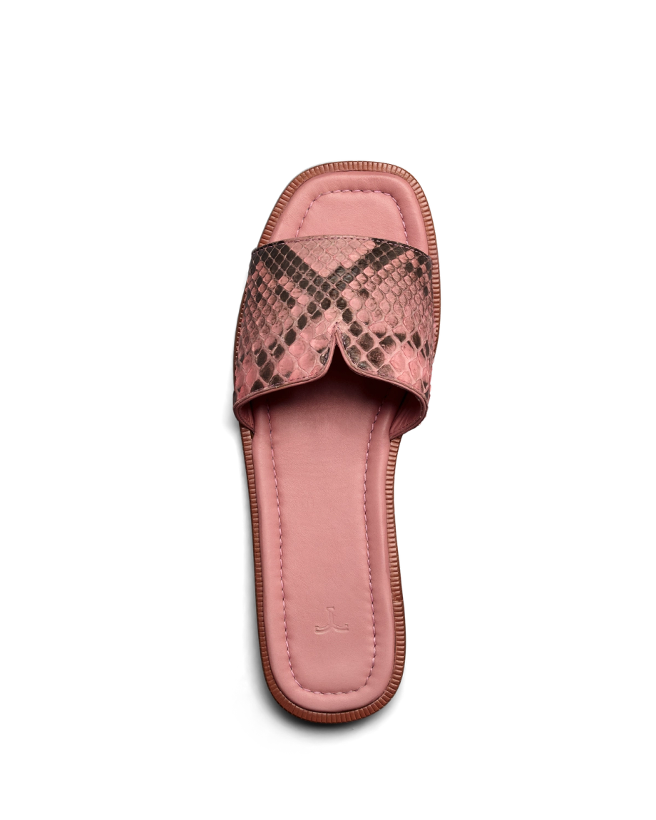 Full view of The Carmen - Pink Frost on plain background