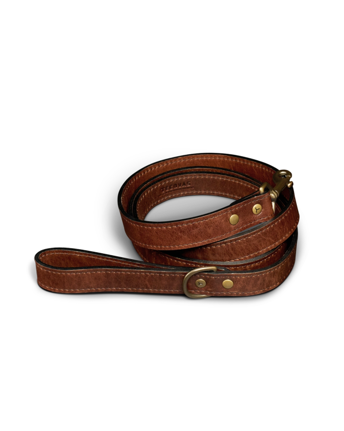 Front view of Leather Dog Leash - Cognac on plain background