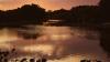A calm river reflecting the orange and pink hues of a sunset, bordered by dense trees and vegetation.