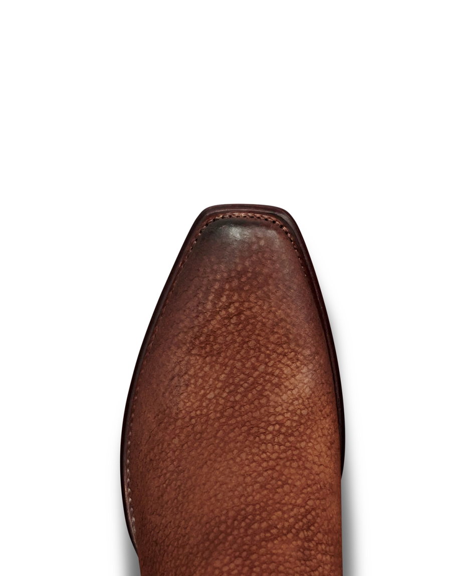 Toe view of The Warren - Cocoa Carpincho on plain background