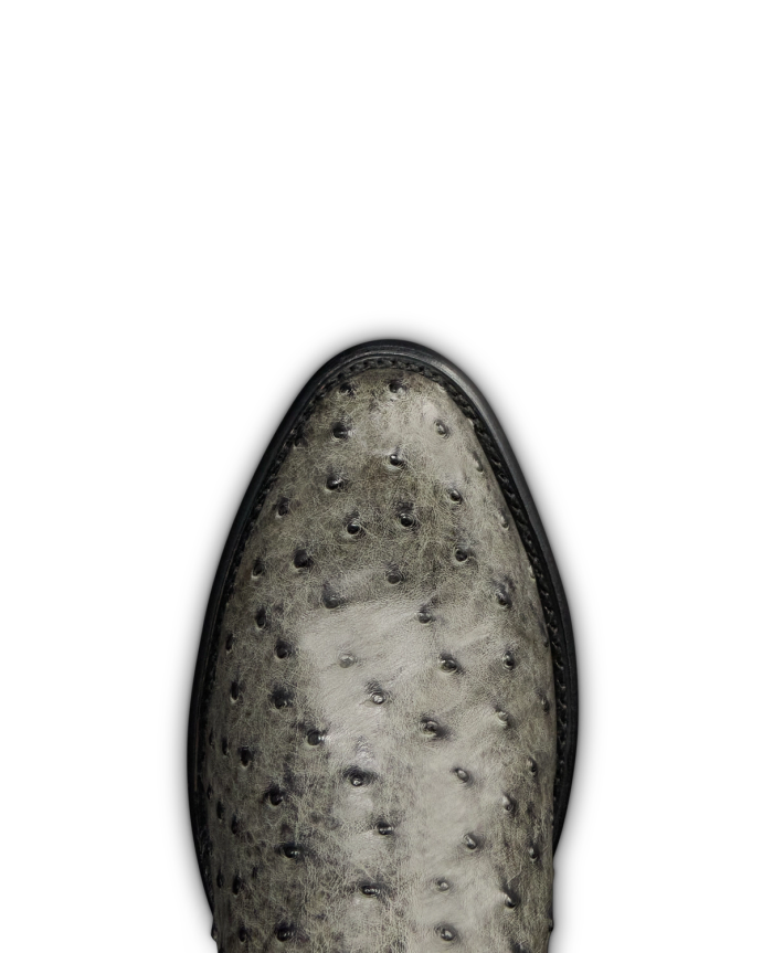 Toe view of The Wyatt II - Graphite Ostrich on plain background