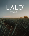 A field of agave plants under a clear sky with the text "LALO TEQUILA" prominently displayed above.