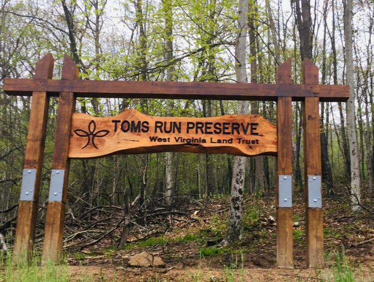 Tom's Run Preserve