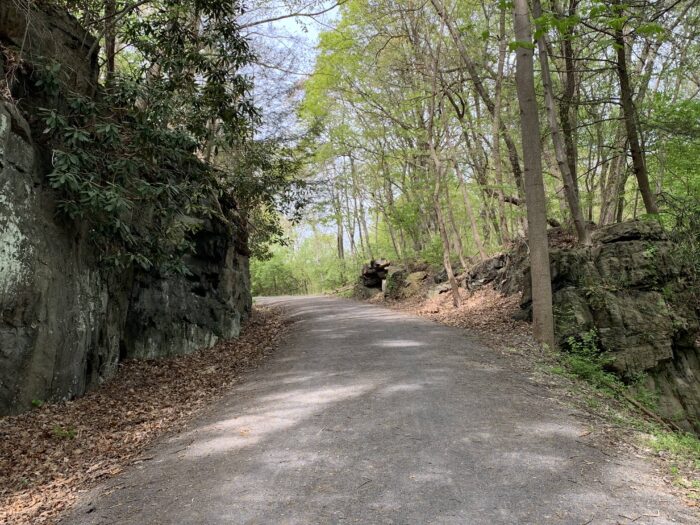 Deckers Creek Rail Trail