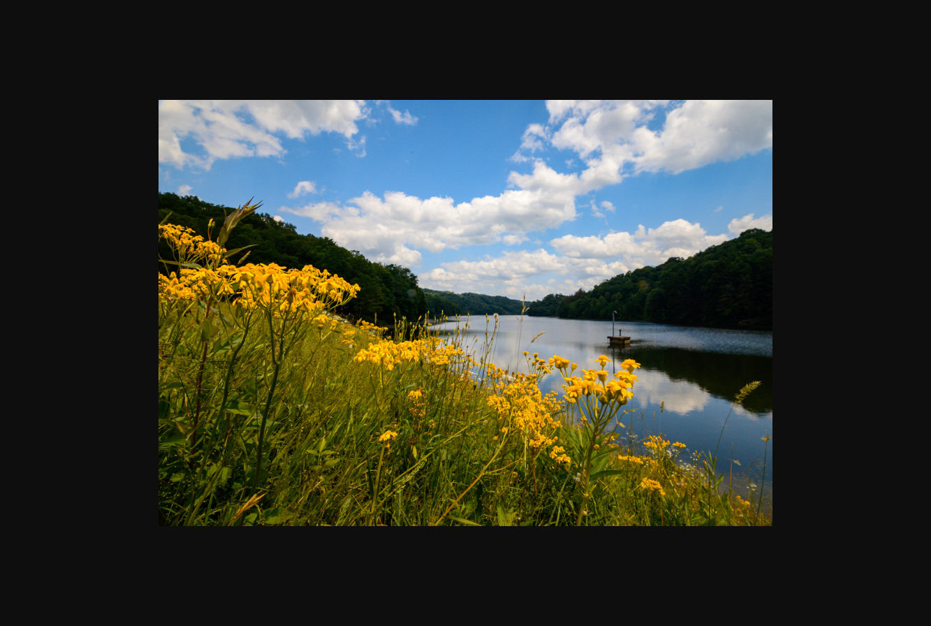 Pedlar Wildlife Management Area (Mason lake)