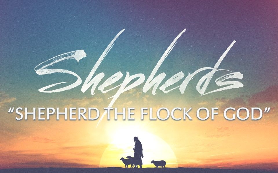 Kingdom Leaders: Shepherd the Flock of God | Temple Terrace Church of ...