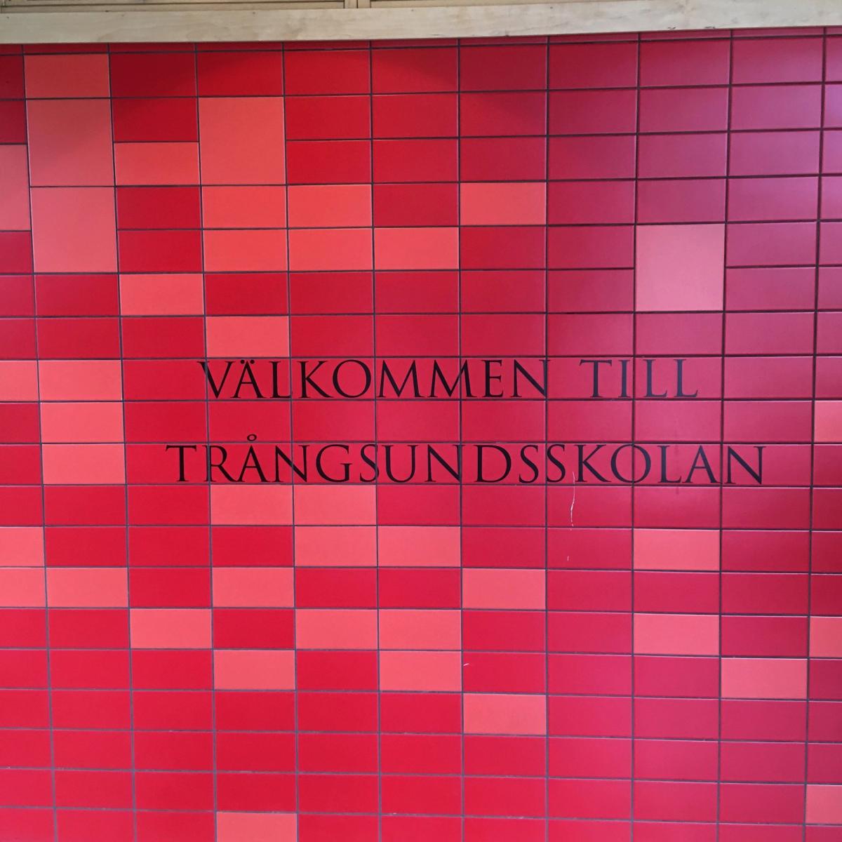 Föreläsning på Trångsundsskolan
