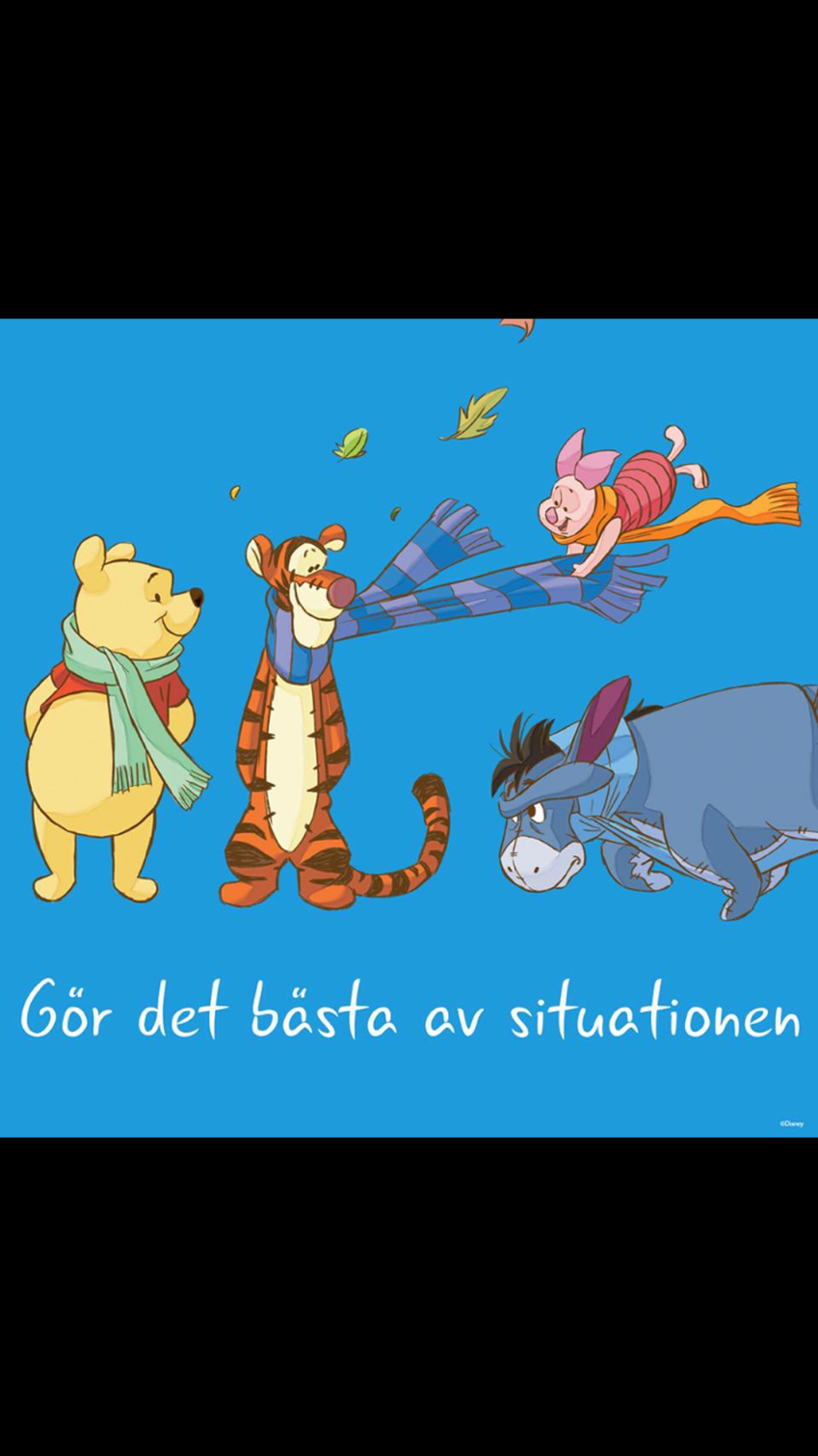 Dagens sanning!
