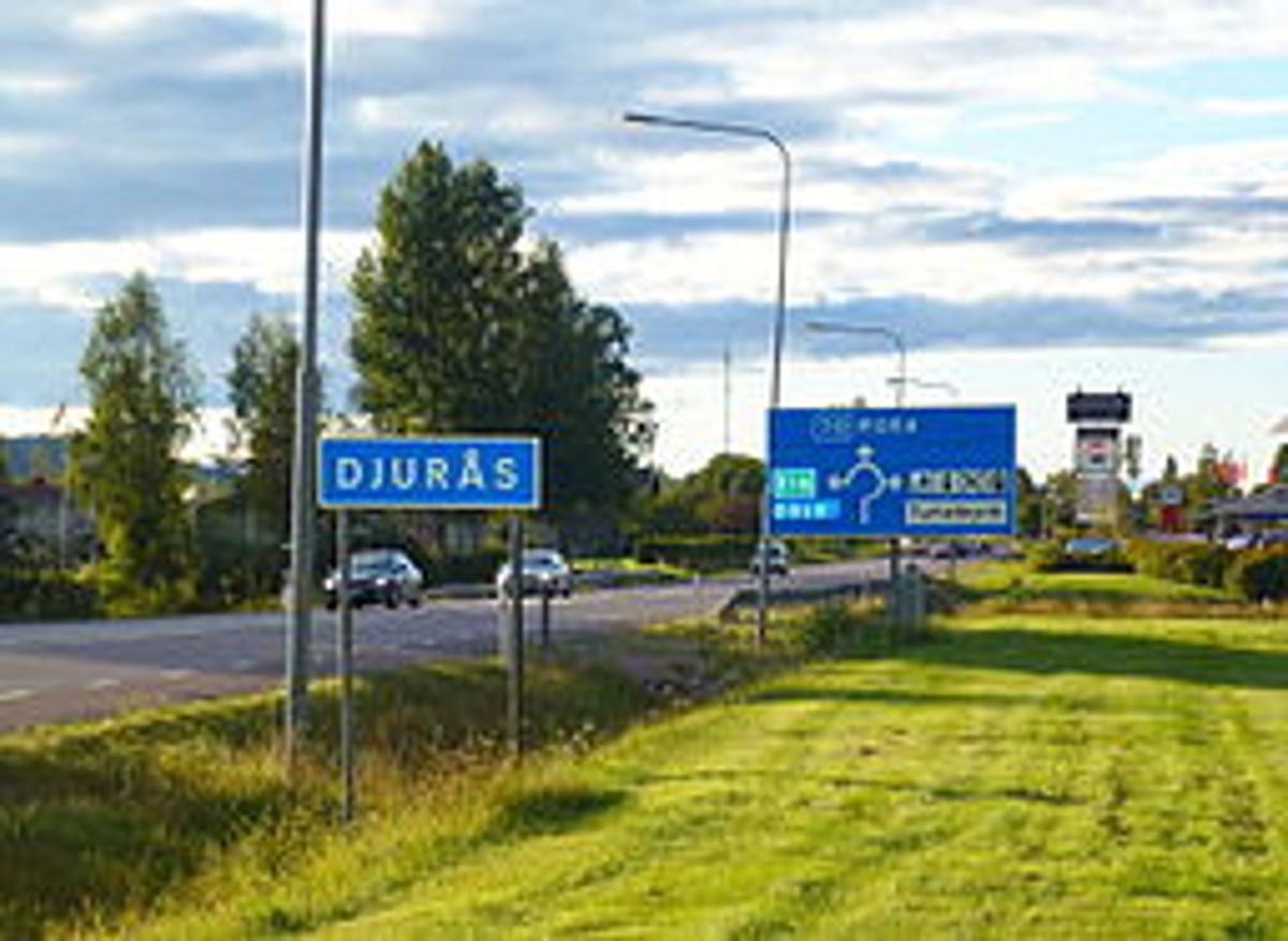 Föreläsning i Djurås
