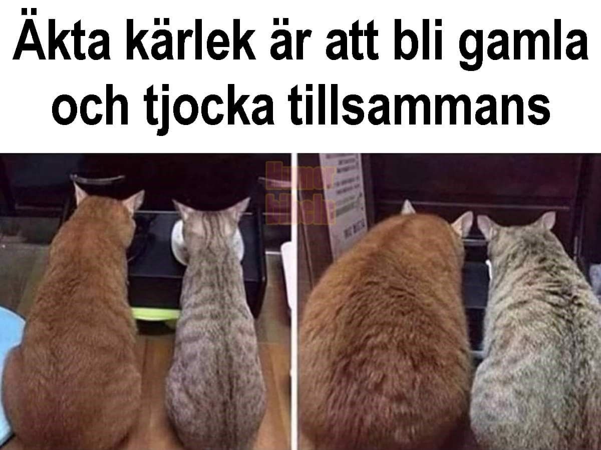 EN SOMMARHÄLSNING
