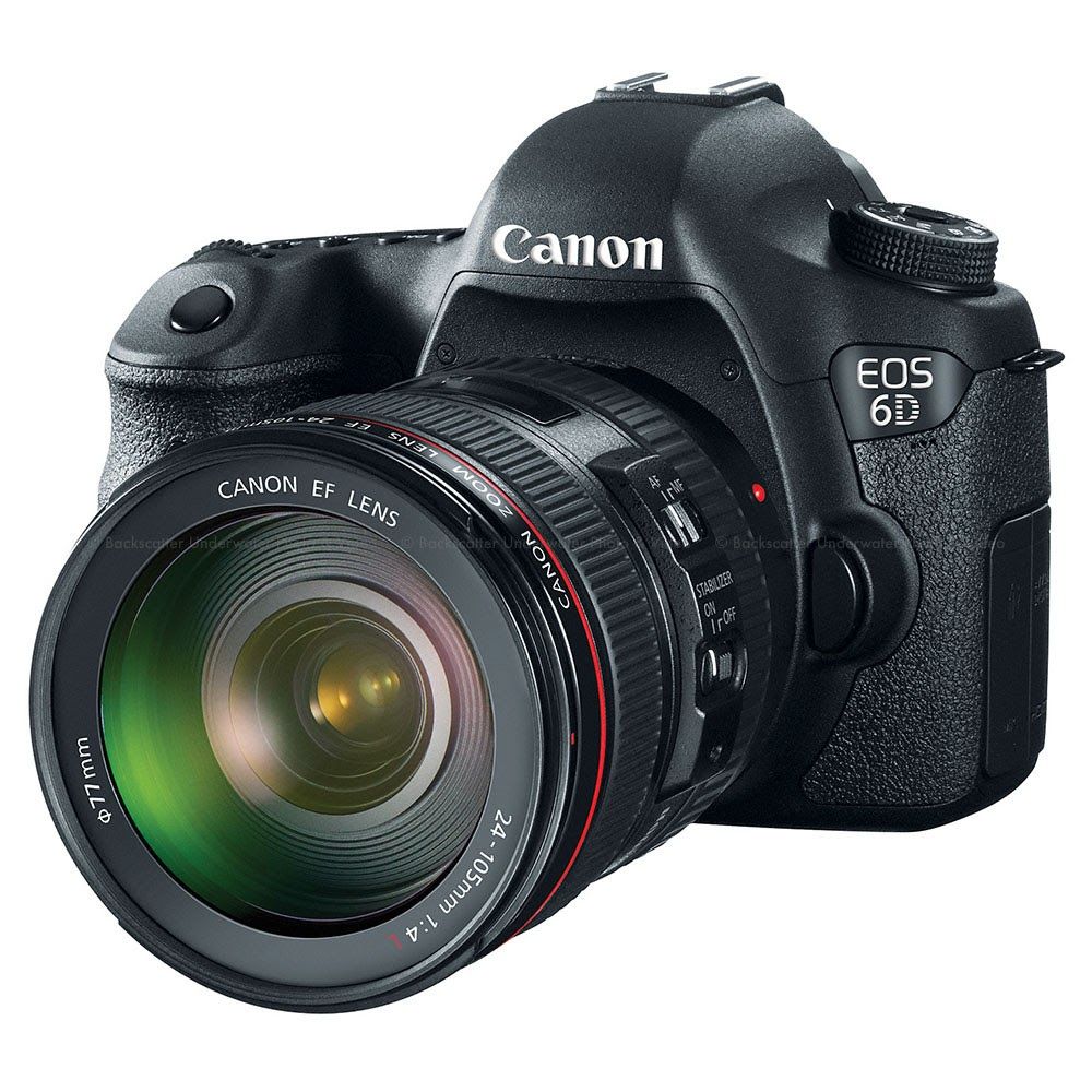 Our Canon 6D workhorse