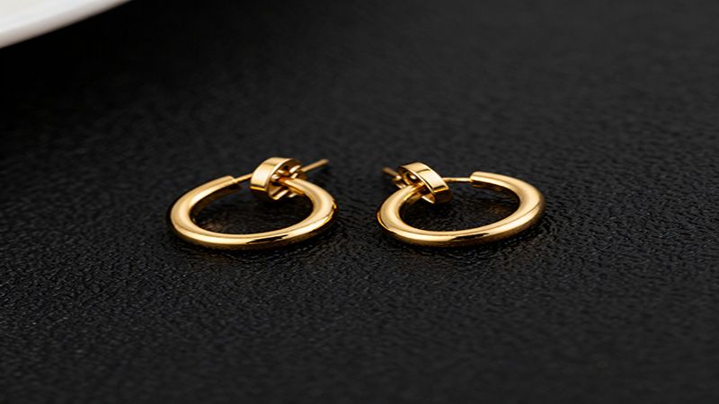 Clasp Earrings