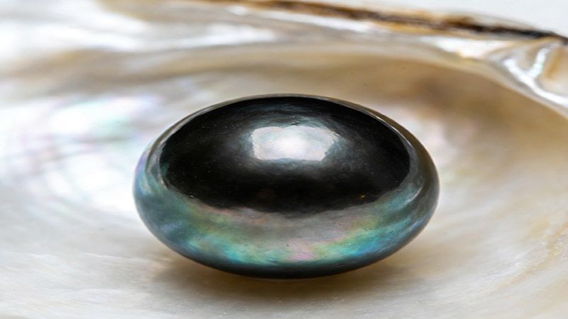 They are also known as black pearls due to their darkness.