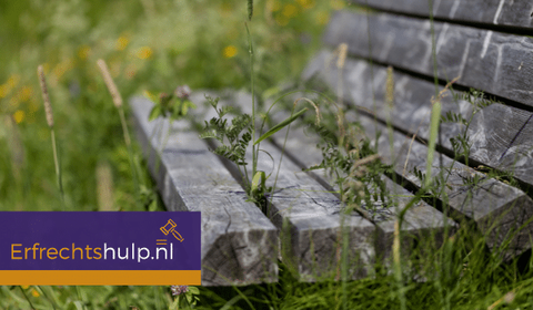Onbeheerde nalatenschap