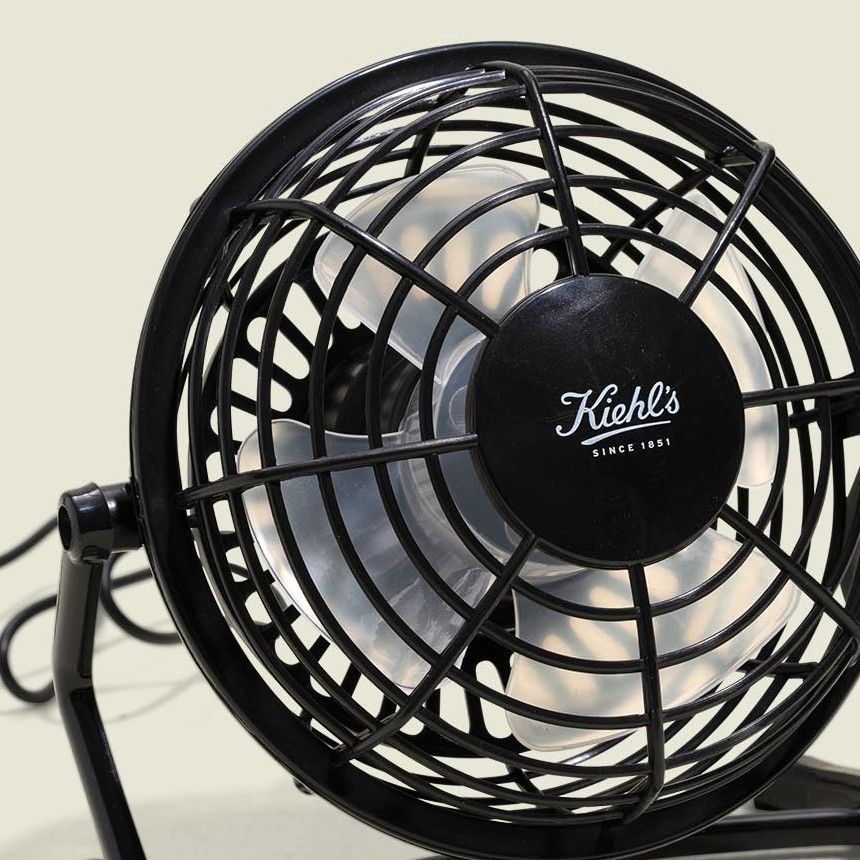 Portable fan 
