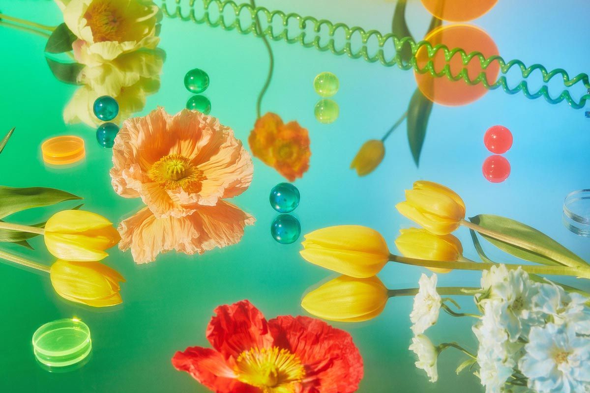 Flowers and pieces of plastic on a green mirrored surface