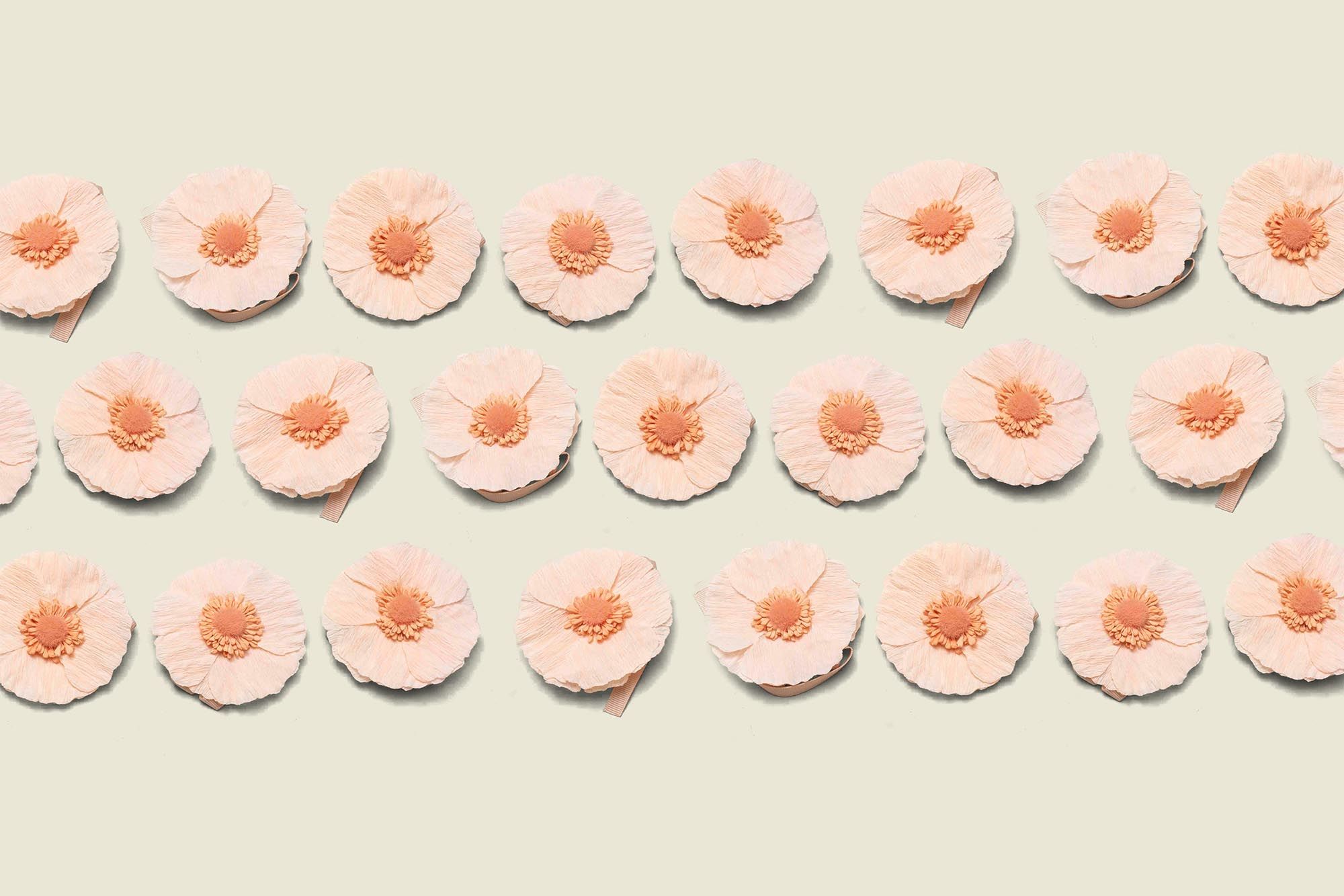 Collection of paper flowers