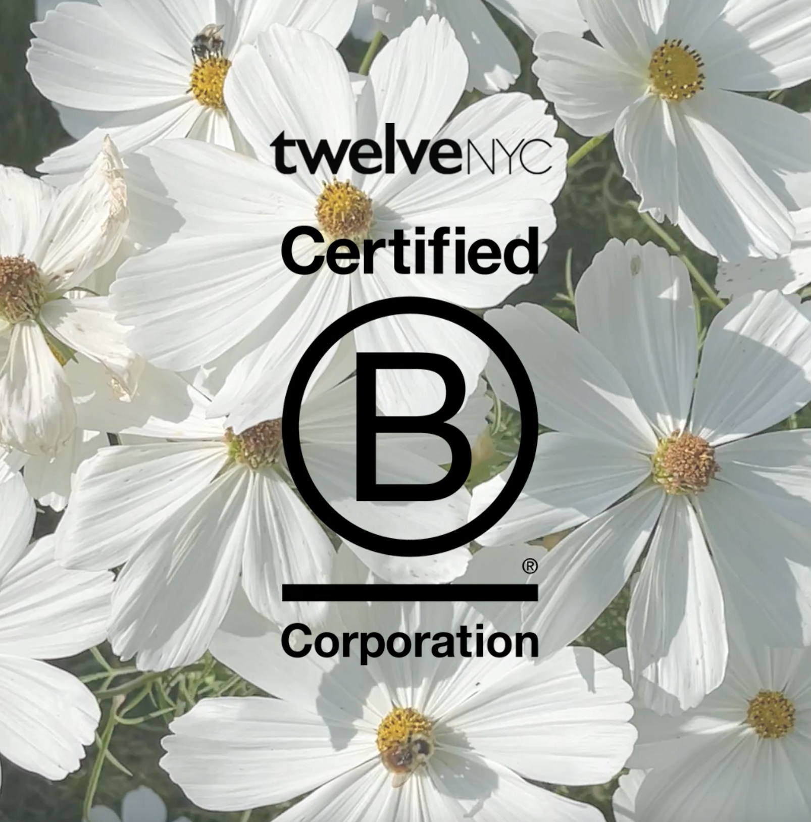 B Corp logo on flower bed