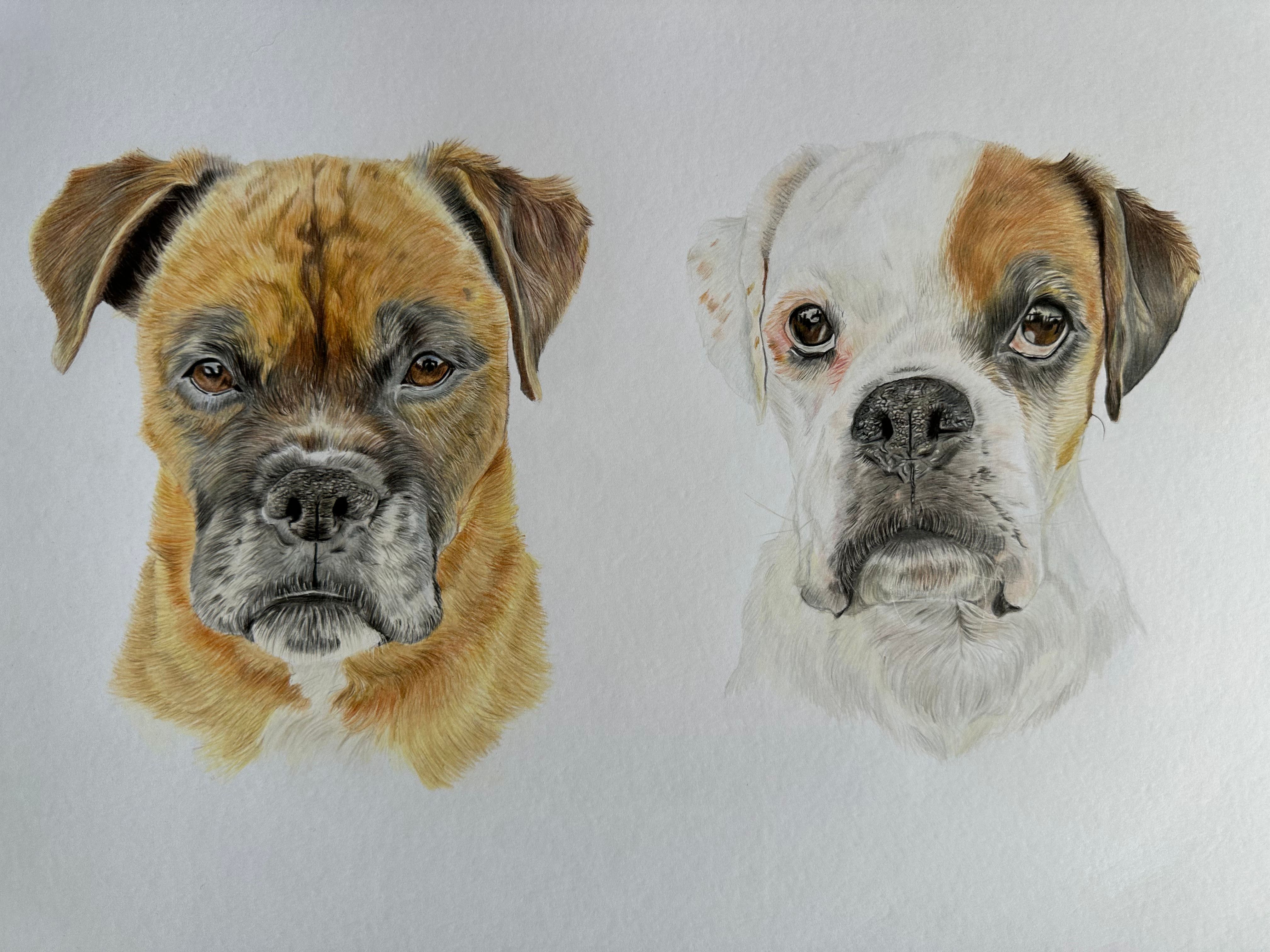 daisy-and-ruby