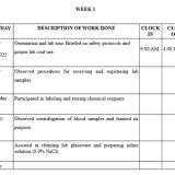 How to Fill Your SIWES Logbook as an SLT Student (With Week 1 & 2 Examples)