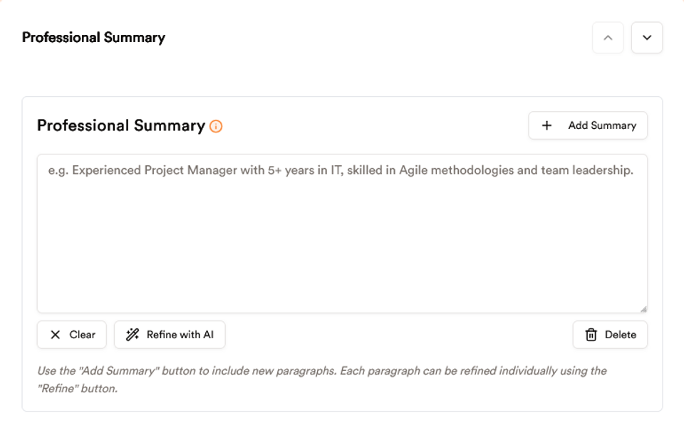 professional summary section