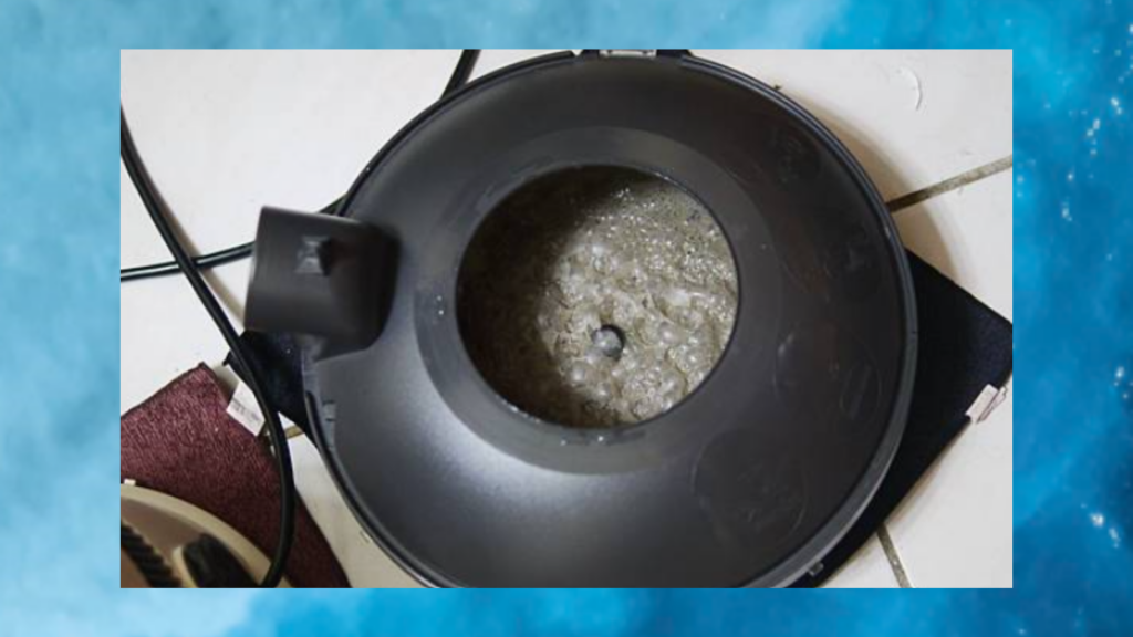 德國海豚吸塵器 吸出的髒汙