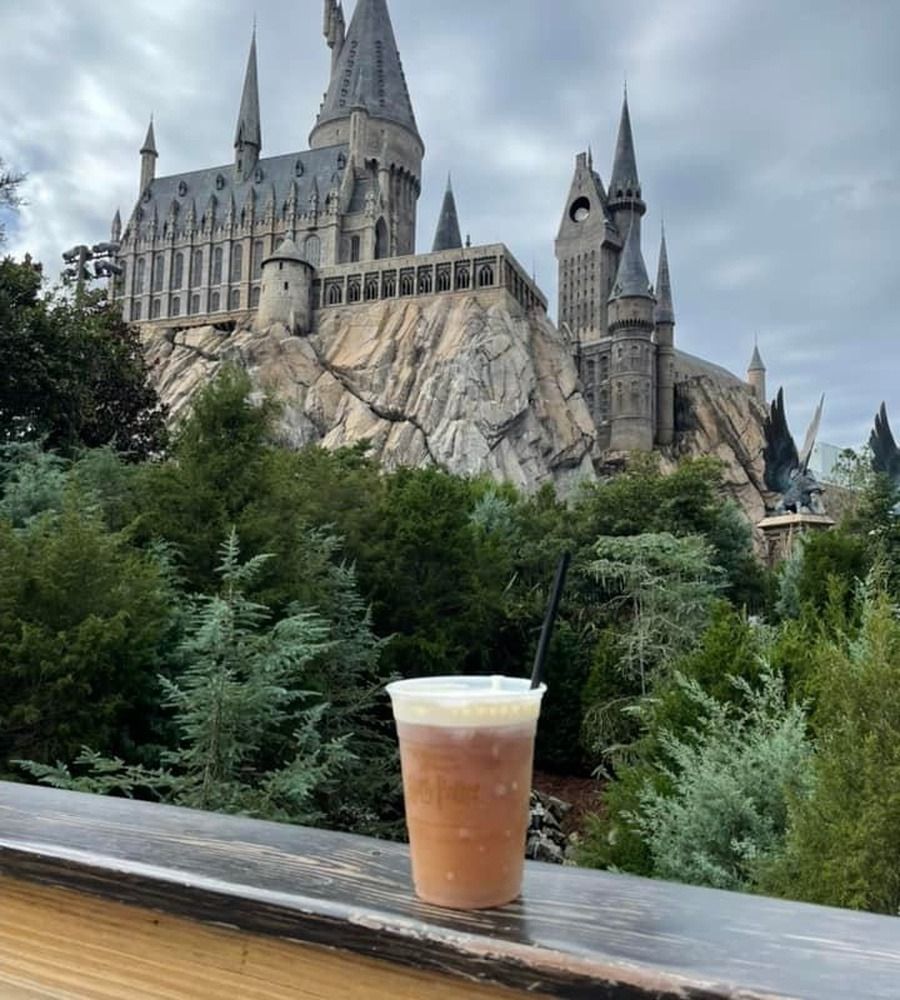 Hogwarts castle above the trees, with a butterbeer on the railing