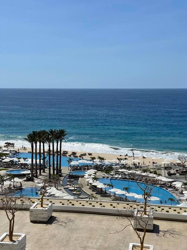 A beachfront resort with palm trees and pools beside the ocean