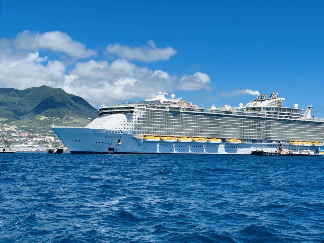 A large cruise ship anchored off a green island under a blue sky
