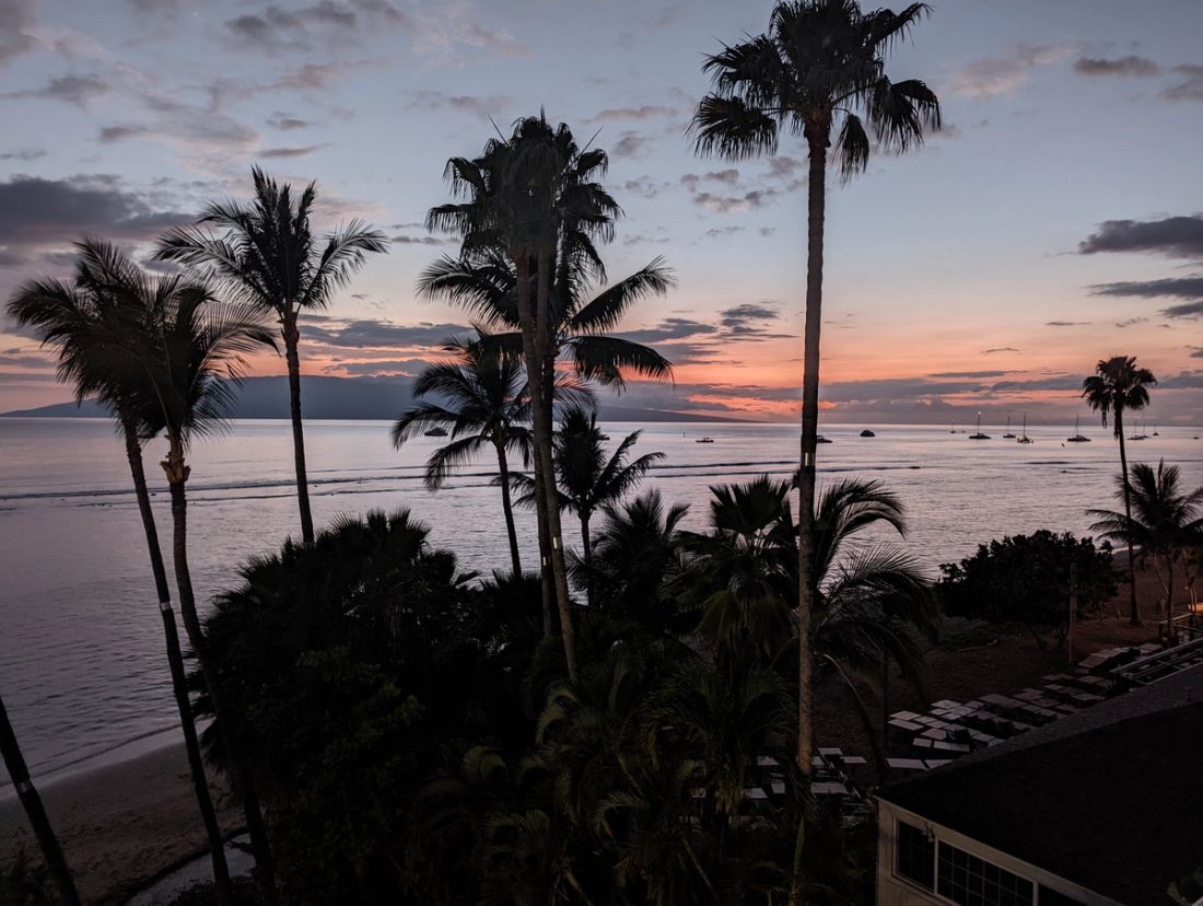 Palm trees silhouetted against a Hawaiian sunset over the ocean