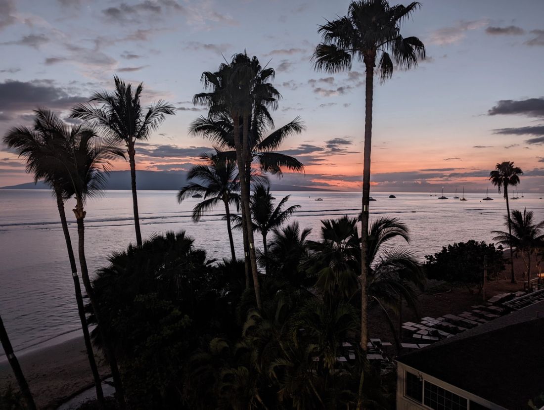 Palm trees silhouetted against a Hawaiian sunset over the ocean