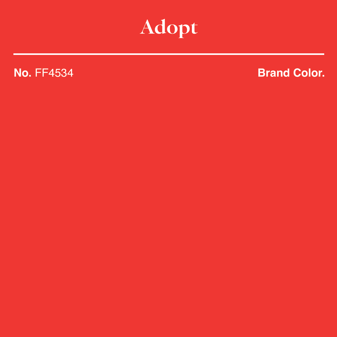 01 Brand Color