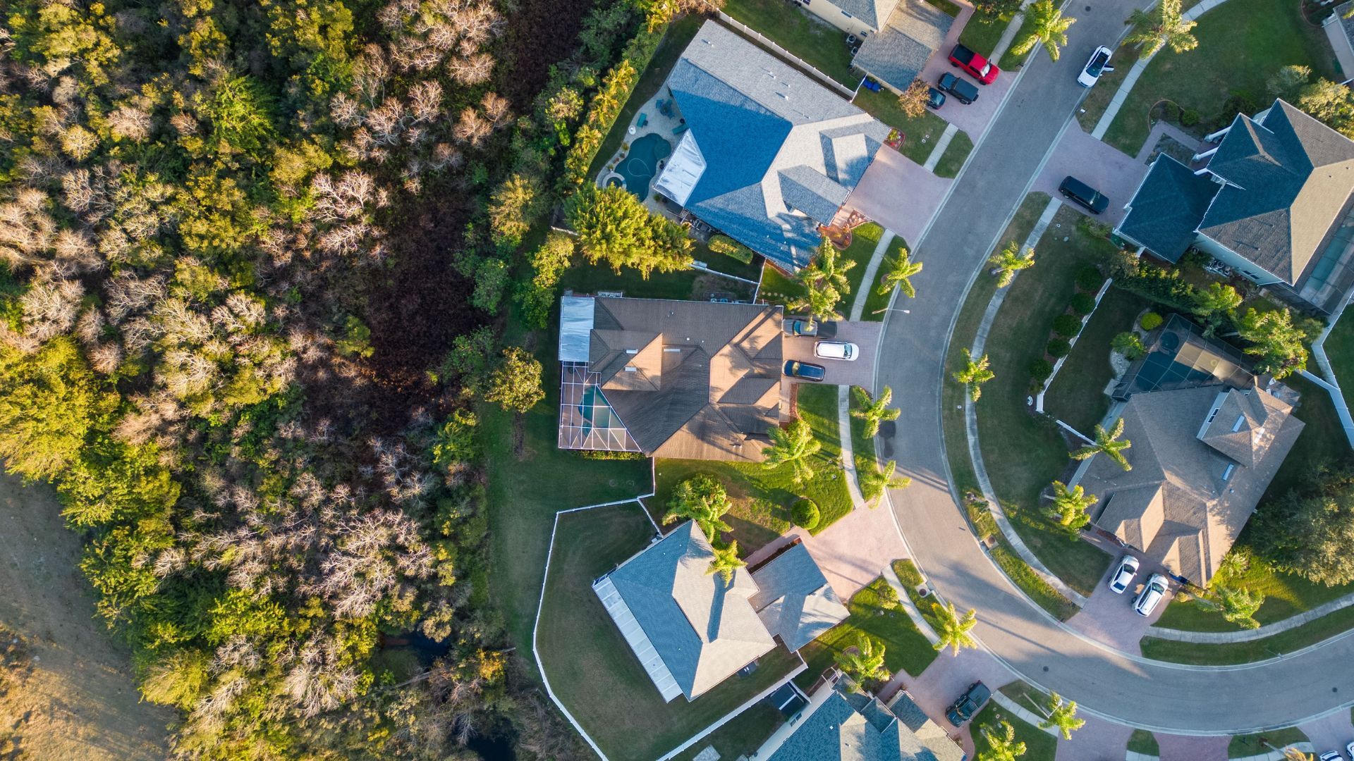 Modern house for sale in Tampa Florida with palm trees and driveway