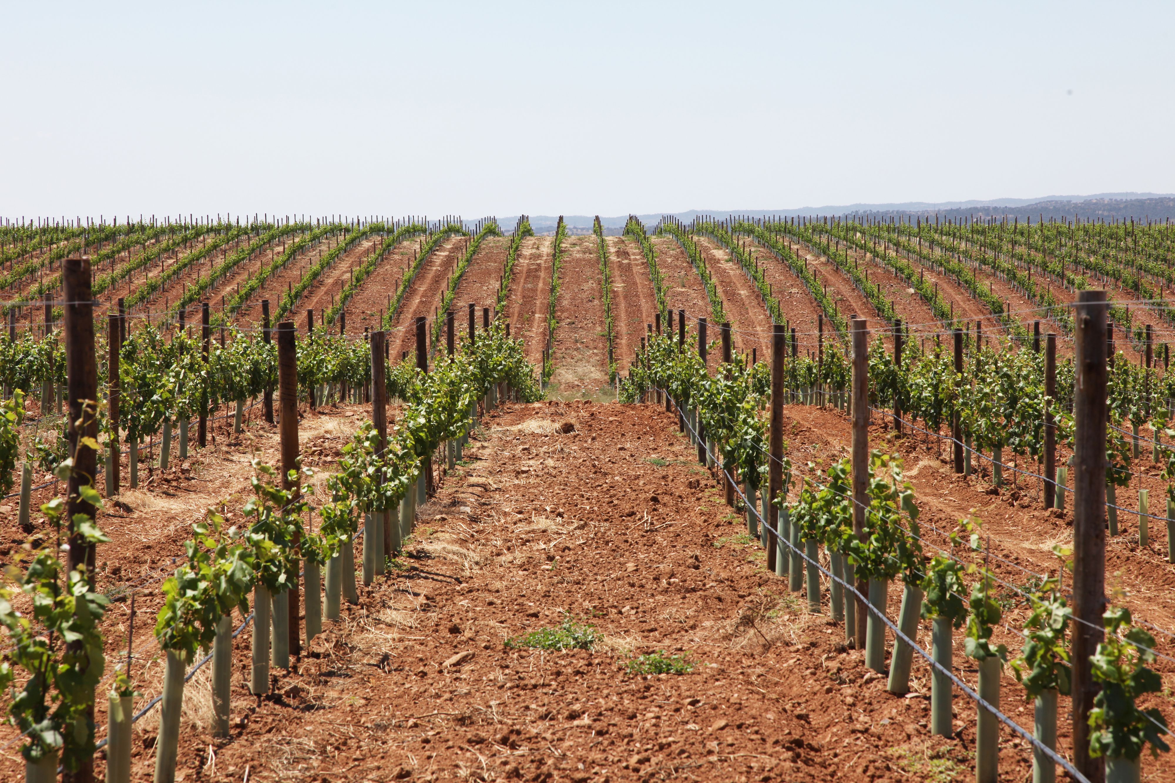 Agricultural Structures