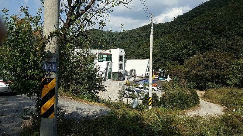 올리브 풀빌라&키즈풀빌라