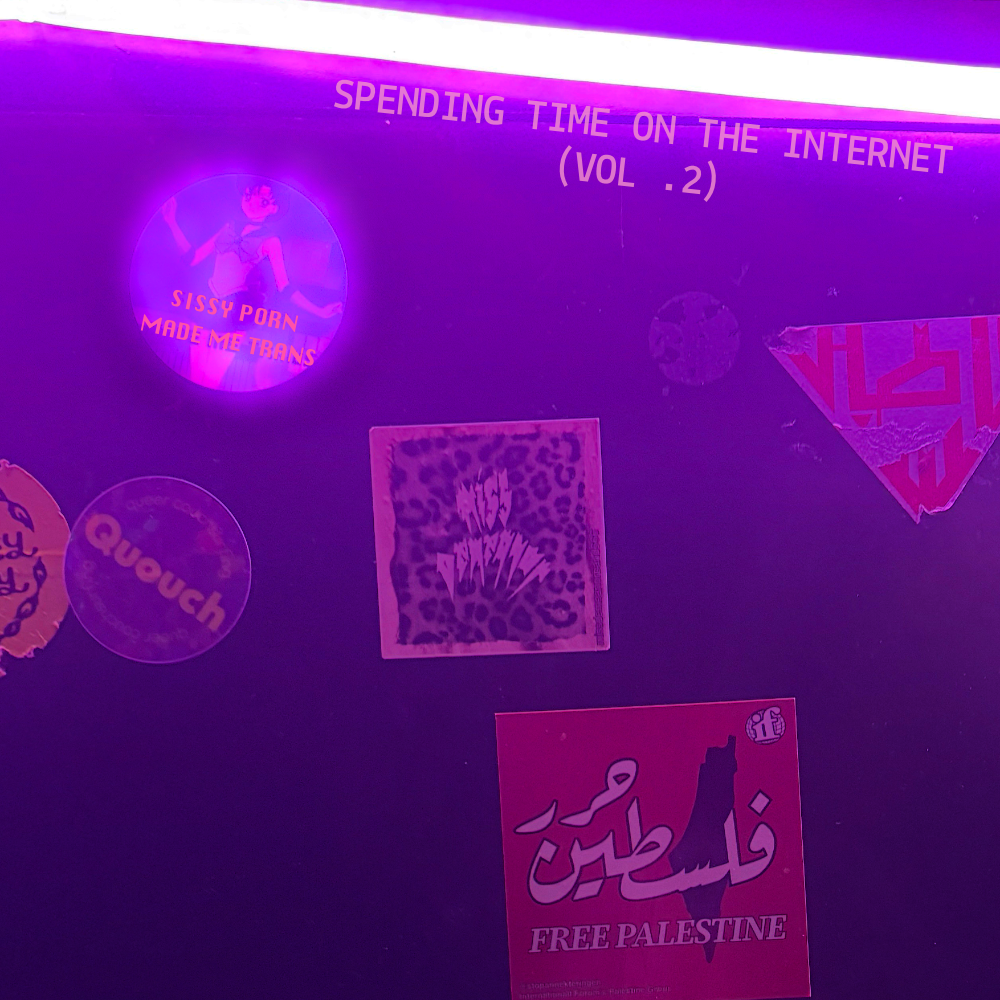 SPENDING TIME ON THE INTERNET (VOL. 2)