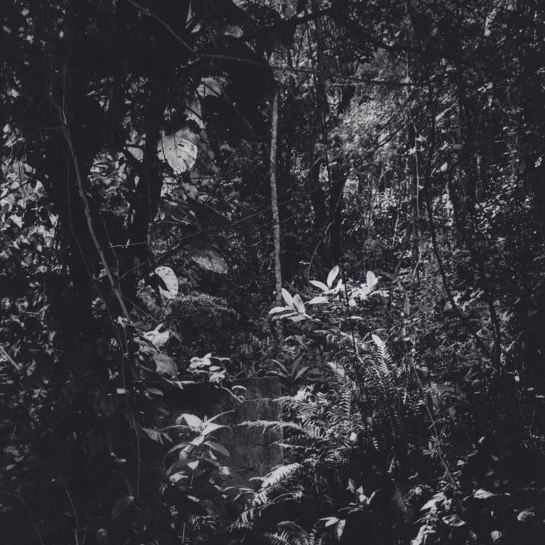 Cover art which is a painting of a person