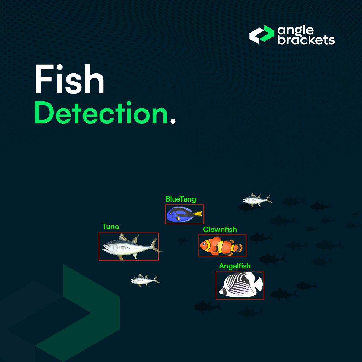 Fish detection