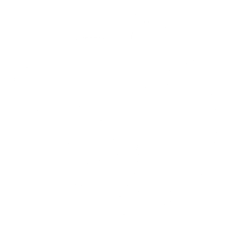 Nest Js