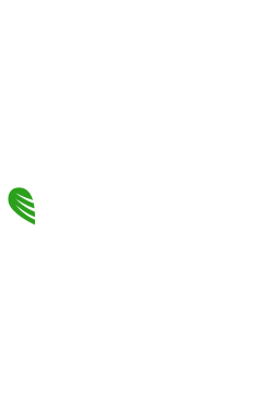 Wise Digital Partners