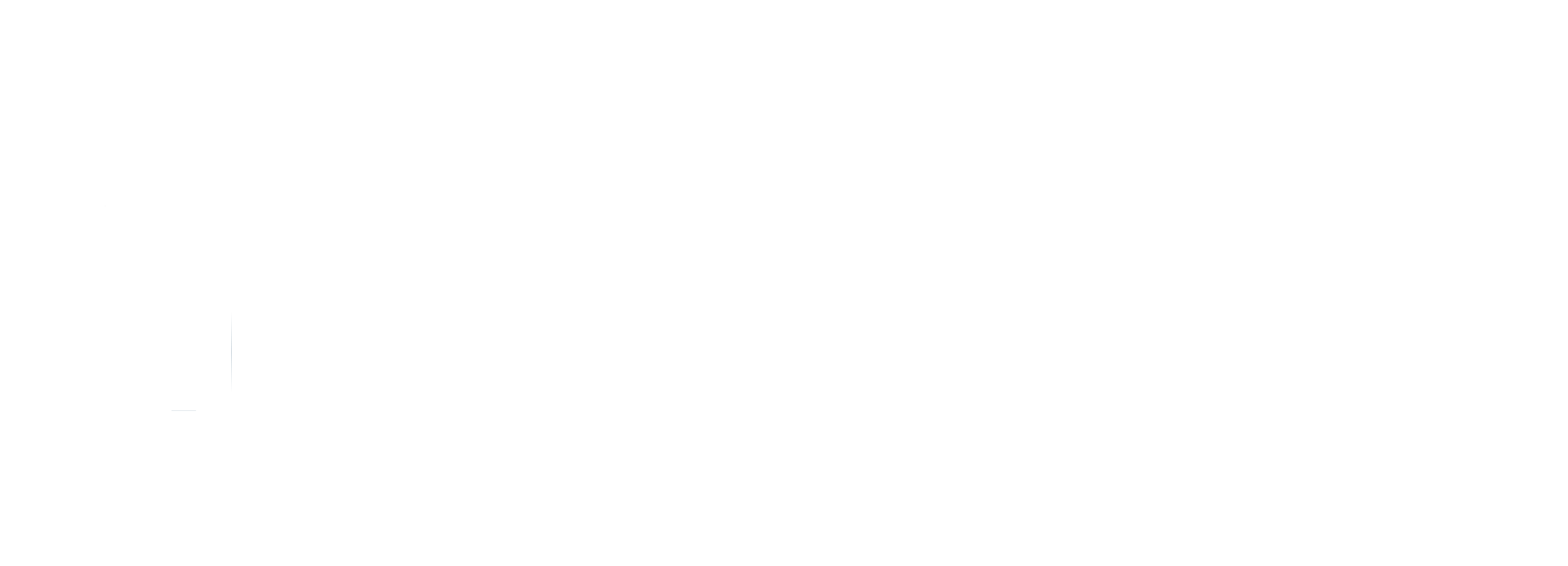 Telic Solutions