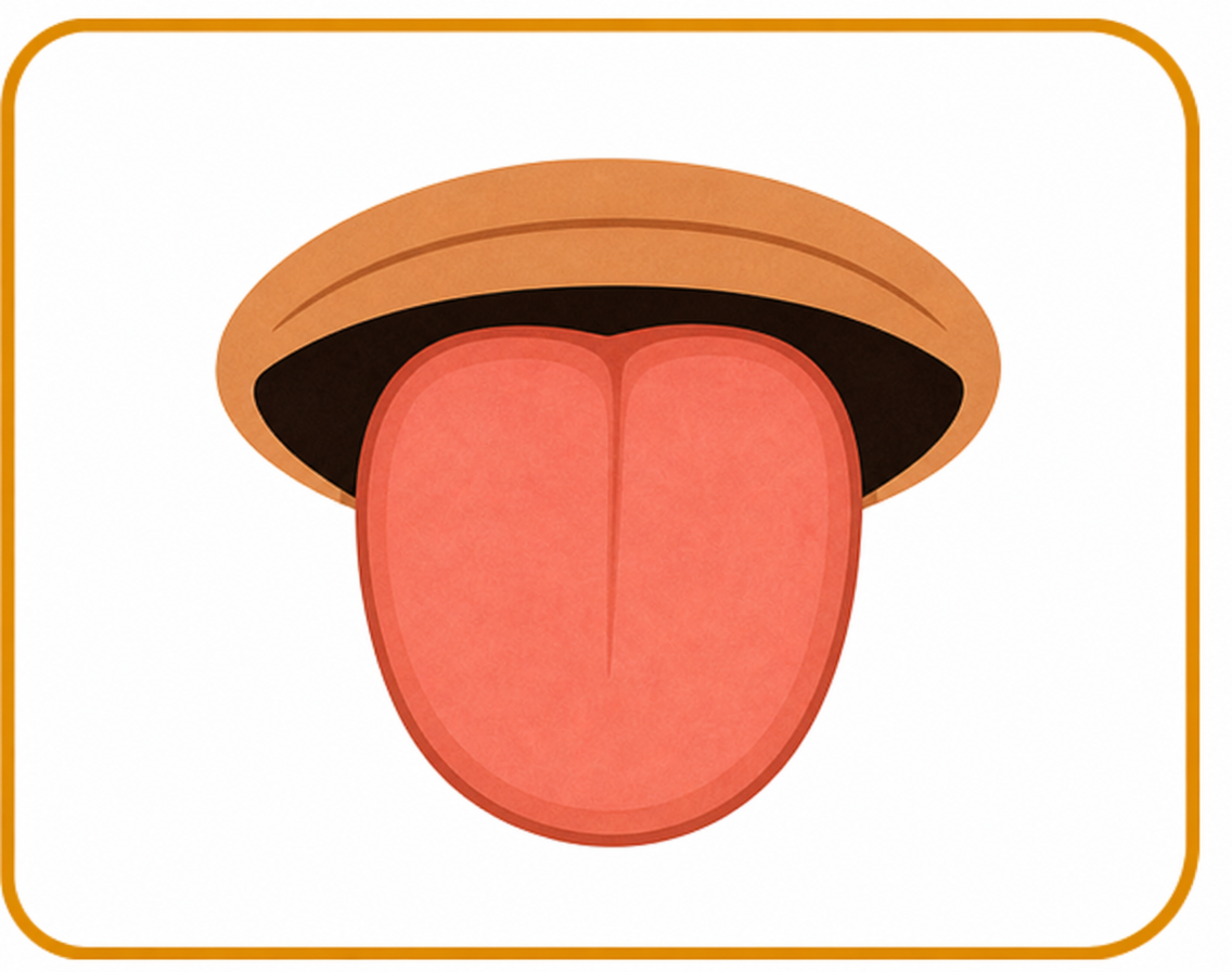 Tongue