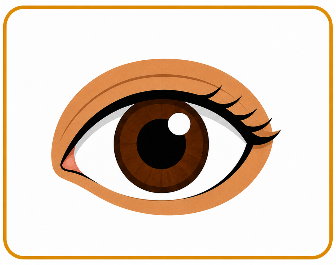 Eye