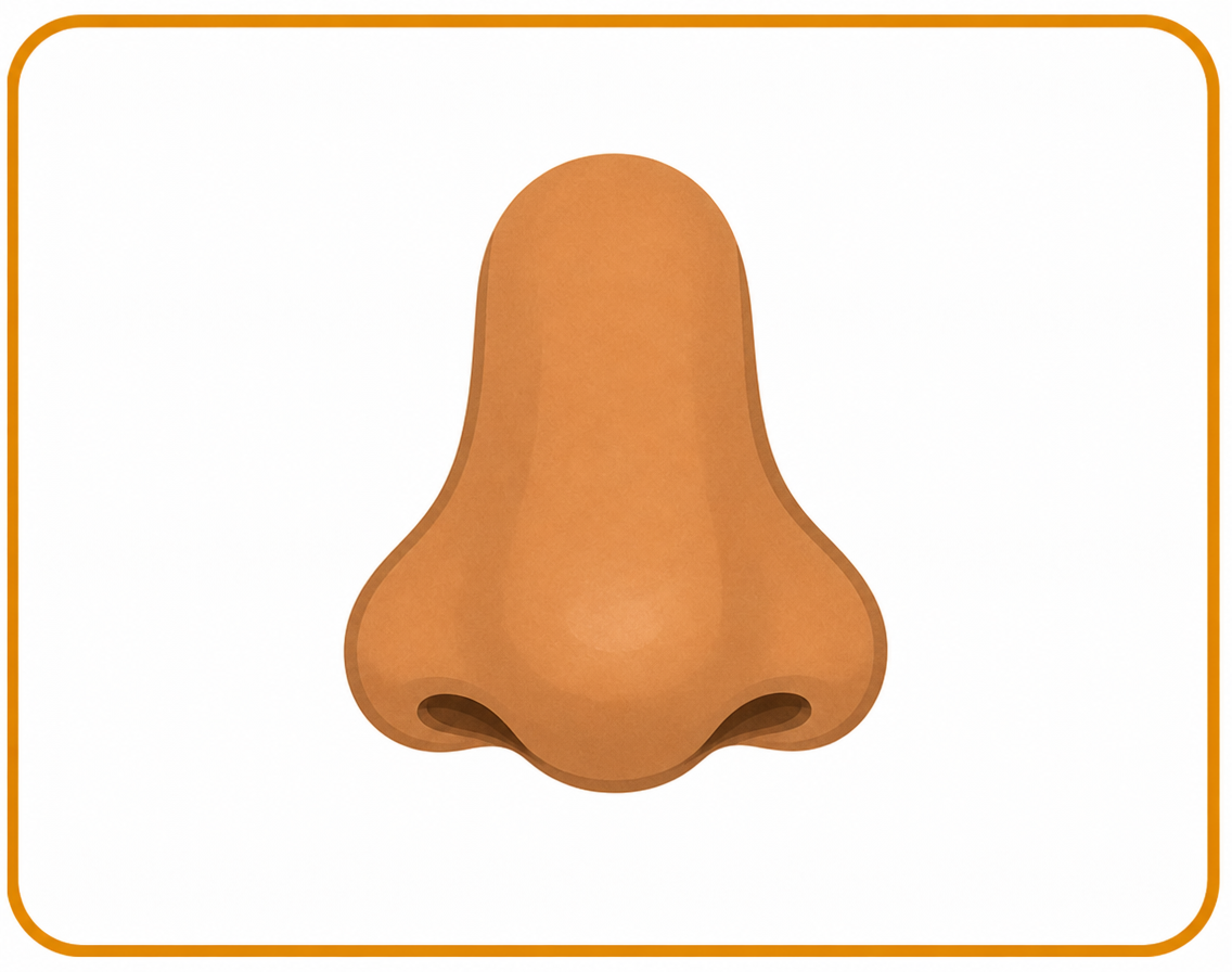 Nose