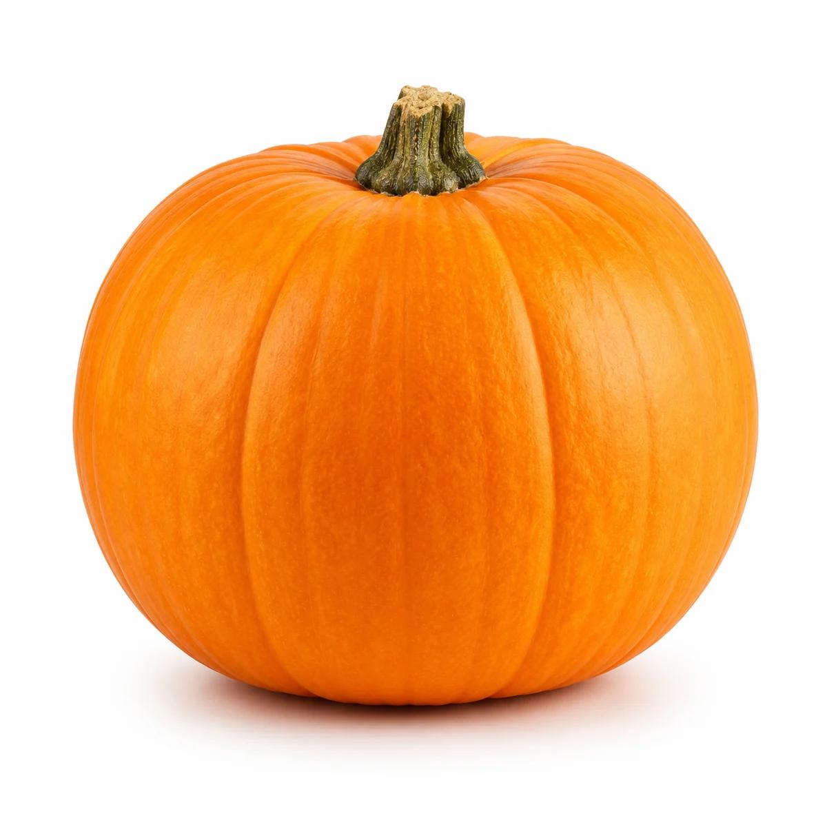 Pumpkin / marrow